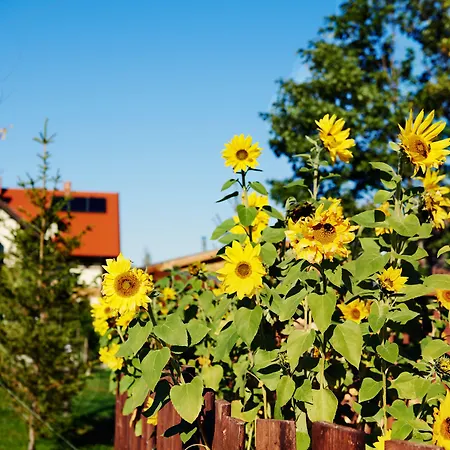 Nocleg ze śniadaniem Dwa Jeziora