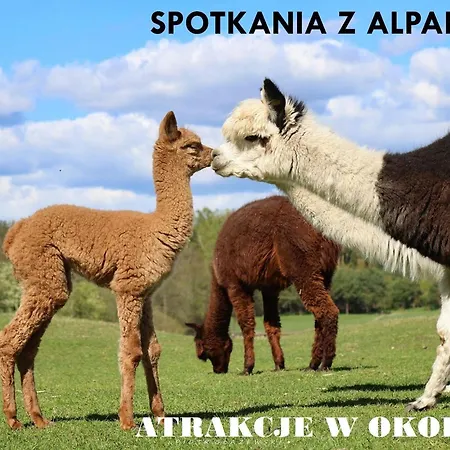 Bed and Breakfast Ostoja Dwa Jeziora Węgorzewo